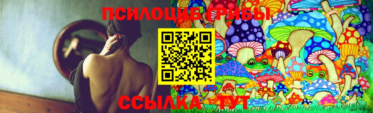Борисоглебск  Галлюциногенные грибы MAGIC MUSHROOMS  Вход с VPN 