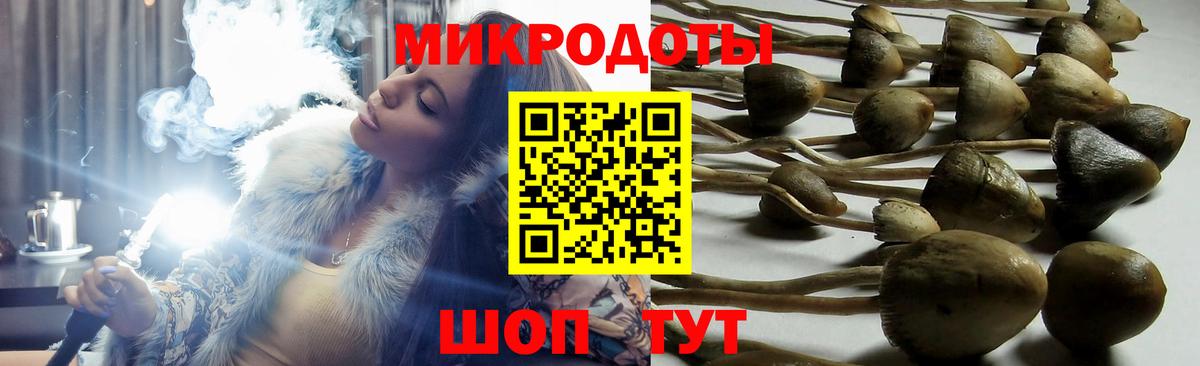 Псилоцибиновые грибы Magic Shrooms Борисоглебск